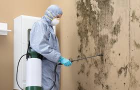 Mold Remediation for Rental Properties in Georgetown, IL